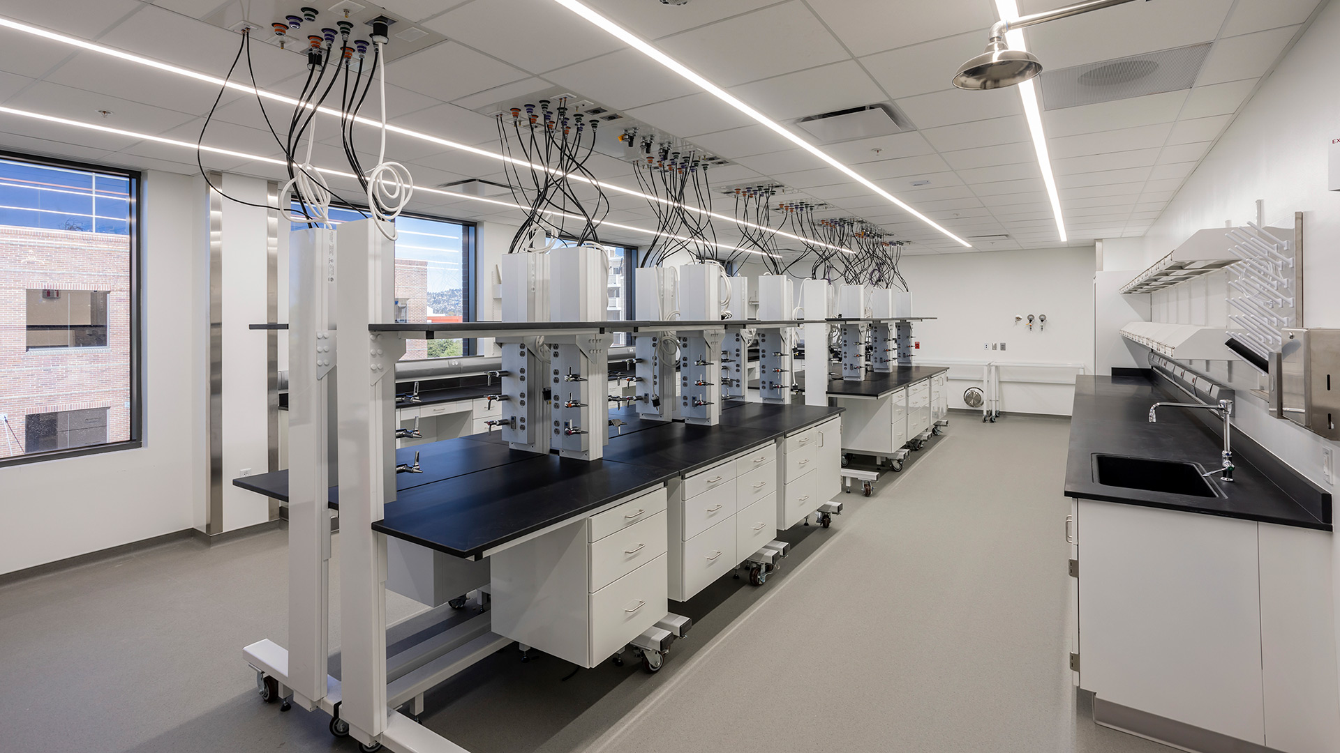 Interior laboratory at Agenus cGMP facility, mobile casework