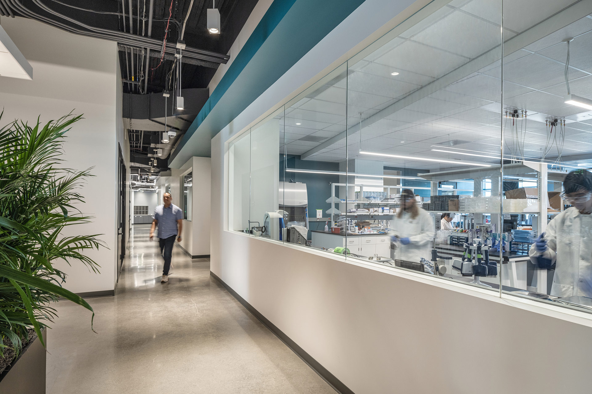 Interior at confidential client life science facility laboratory transparency