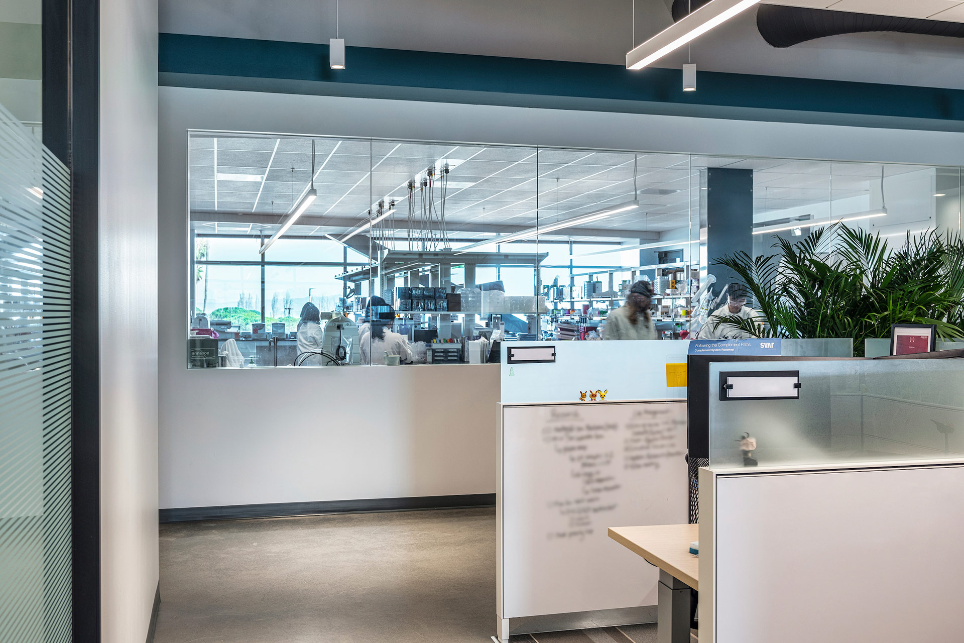 Interior at confidential client life science facility office to laboratory transparency