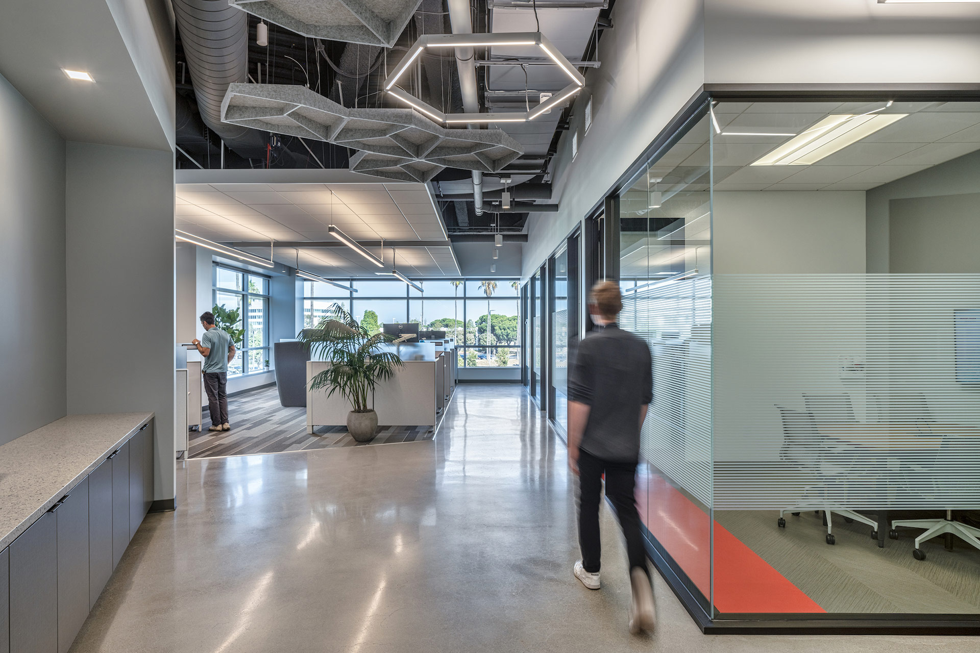 Interior at confidential client life science facility office in natural daylight