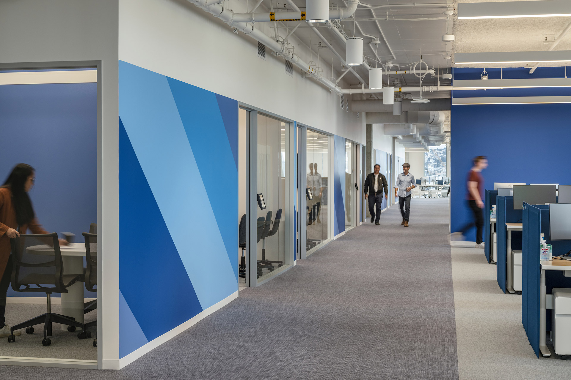 Interior at confidential client life science open office, small meeting rooms, corridor