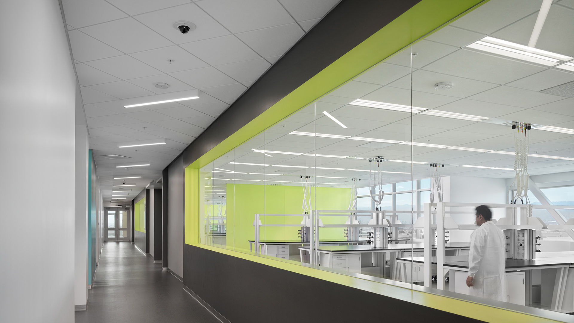 Interior at a confidential life science facility, circulation with science on display view into lab spaces