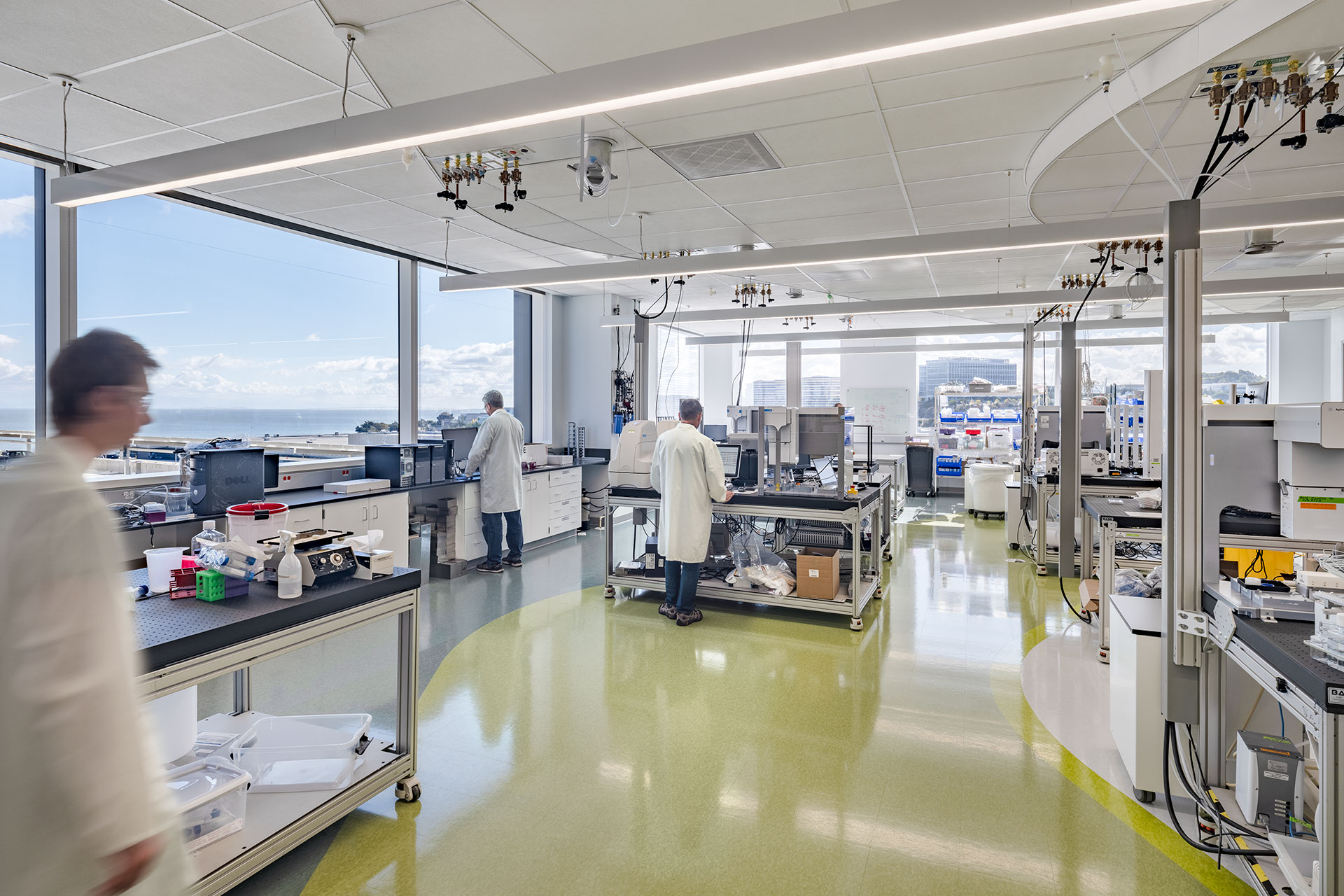 Interior lab at Cytokinetics