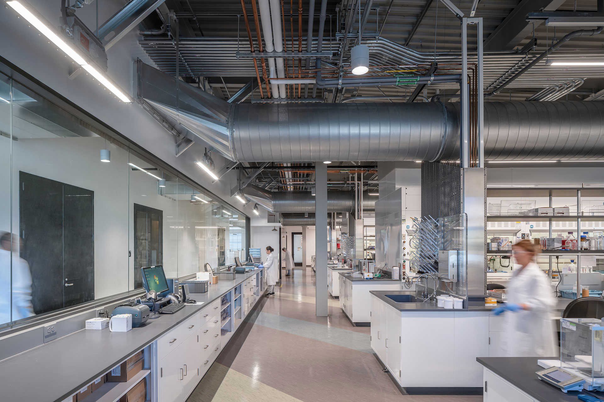 Interior at Exelixis 1851 and 1801 HBP life science facility inside lab with people working