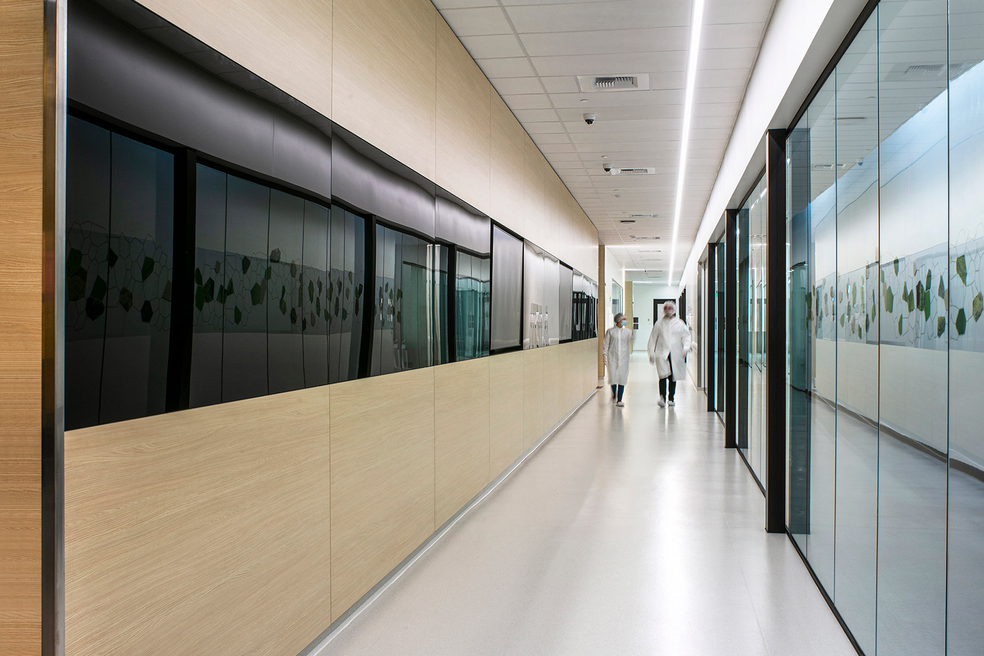 Interior at Twist Bioscience laboratory corridor, transparency
