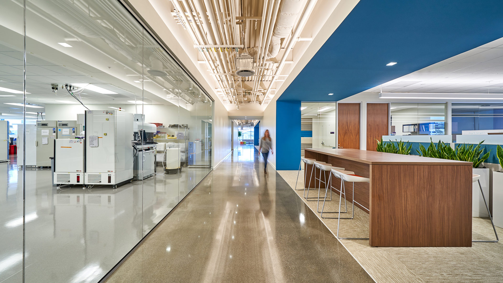 Interior at Vertex Pharmaceuticals life science facility, circulation with someone walking through, open office collaboration space and science on display view into lab